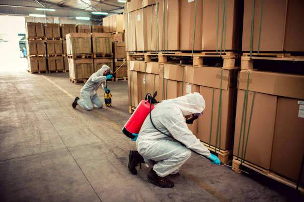 Best Affordable Pest Control Services  in Bellefonte, DE