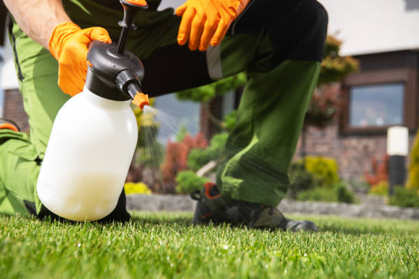 Best Pest Control for Businesses  in Bellefonte, DE