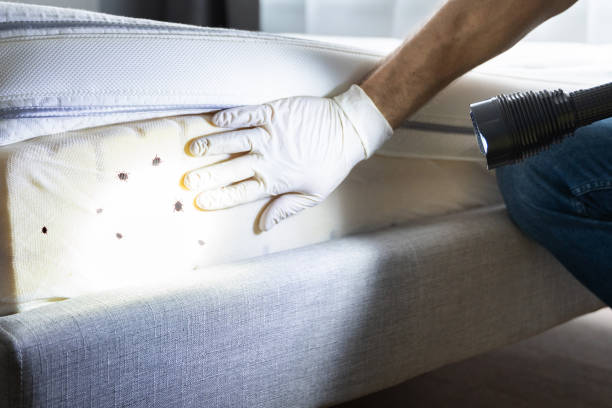 Best Commercial Pest Control Services  in Bellefonte, DE