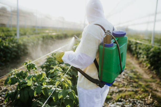 Best Emergency Pest Control  in Bellefonte, DE